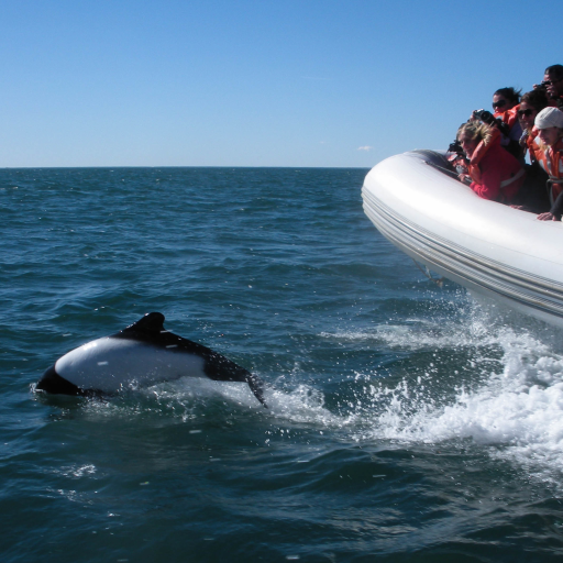 Sunday Stills: How Do You Commute? | Captain Jills Journeys Avatar